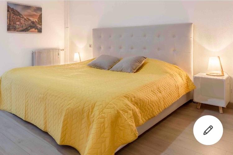 Appartement Colmar Centre Historique Avec Garage Екстериор снимка